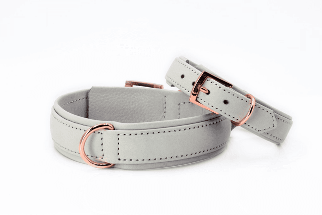 Amici - Stilvolles Nappa - Lederhalsband / hellgrau
