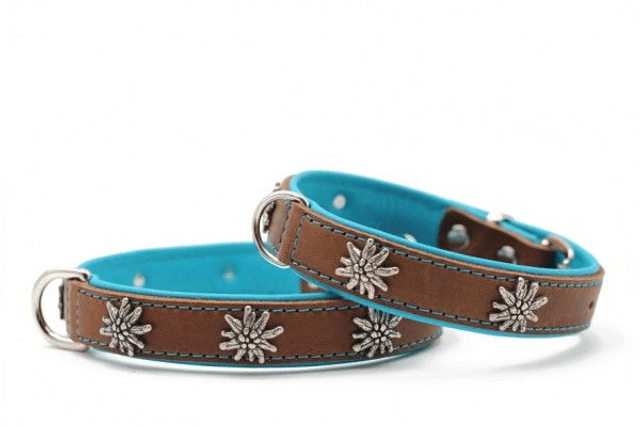Halsband Edelweiß - mokka petrol