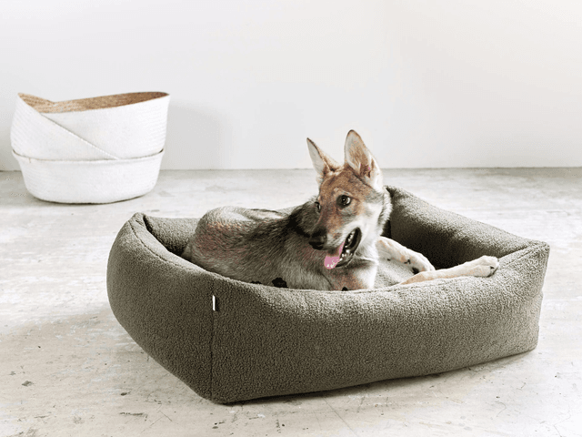 Hundebett Teddy - grün