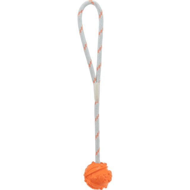 Naturgummiball am Seil