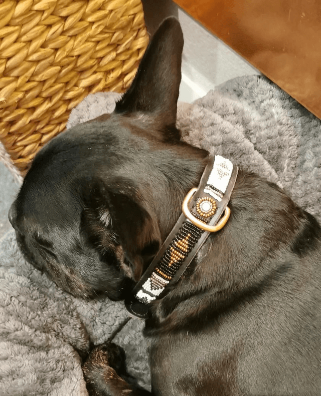 Halsband Kenia Bronze
