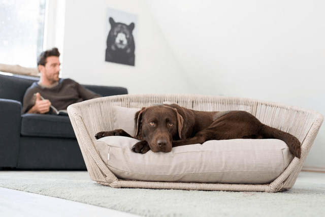 Laboni Vogue Design Hundebett - Smooth